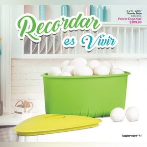 Tupperware All in One Corner Container Sink Storage